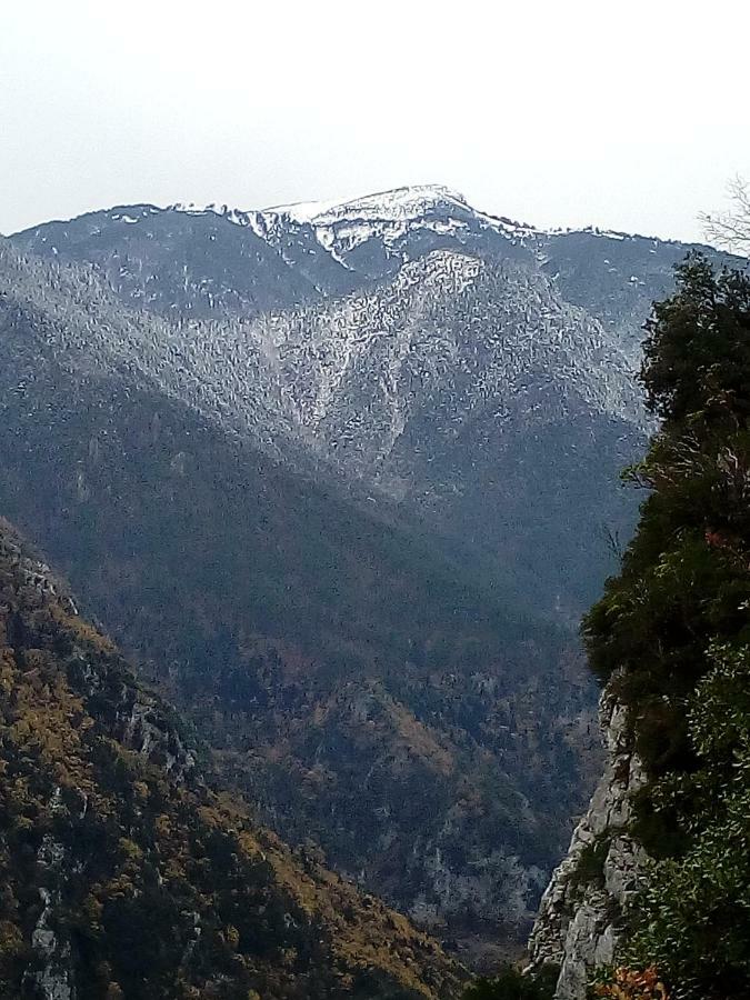 Apartment Near Olympus Mountain Litochoron Bagian luar foto
