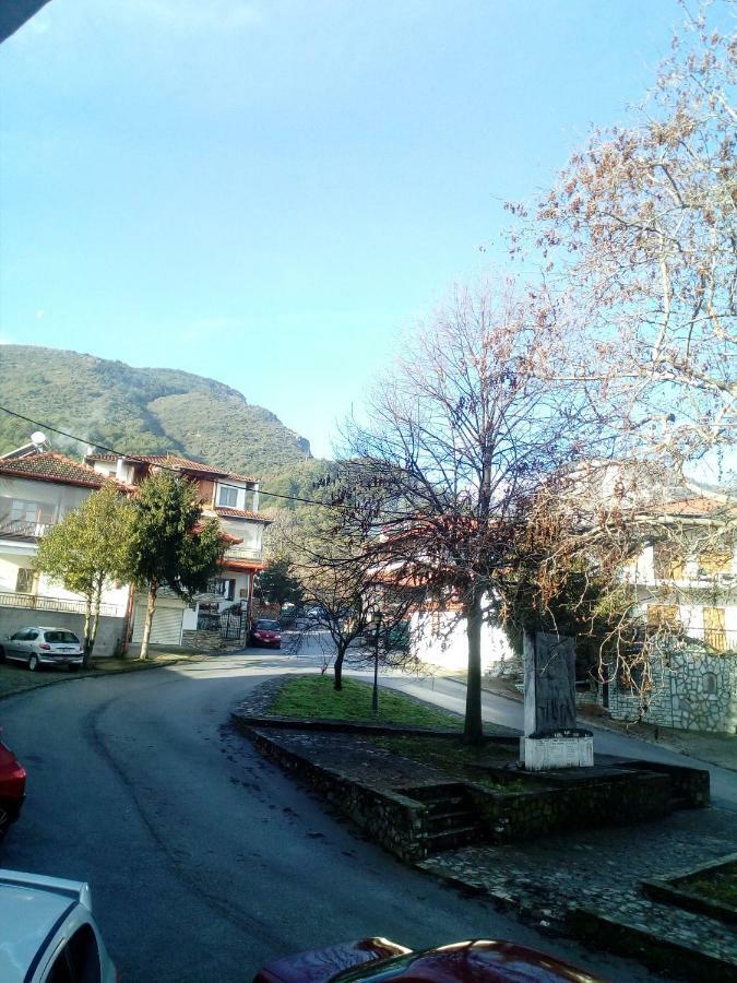 Apartment Near Olympus Mountain Litochoron Bagian luar foto